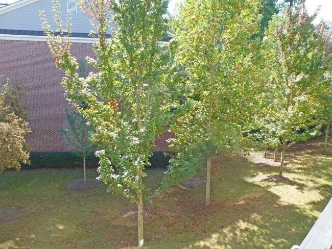 Building Photo - 3209 Buck Way