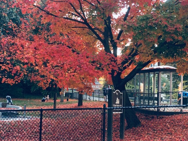 Building Photo - Exceptional Location 1 Bedroom 1 Bathroom Condo Newly remodeled