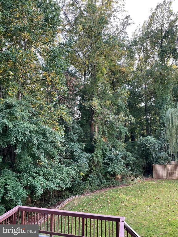Building Photo - 5317 Poplar Valley Ct