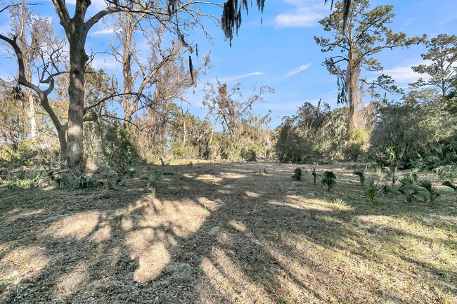 Building Photo - Spacious 3-Bedroom Home on Wadmalaw Island