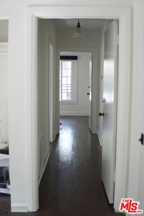 Building Photo - 1016 Palm Ave