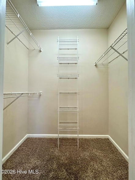 Building Photo - 521 Jimmies Creek Dr