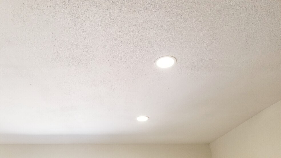 Ceiling lights - 3411 Galena St