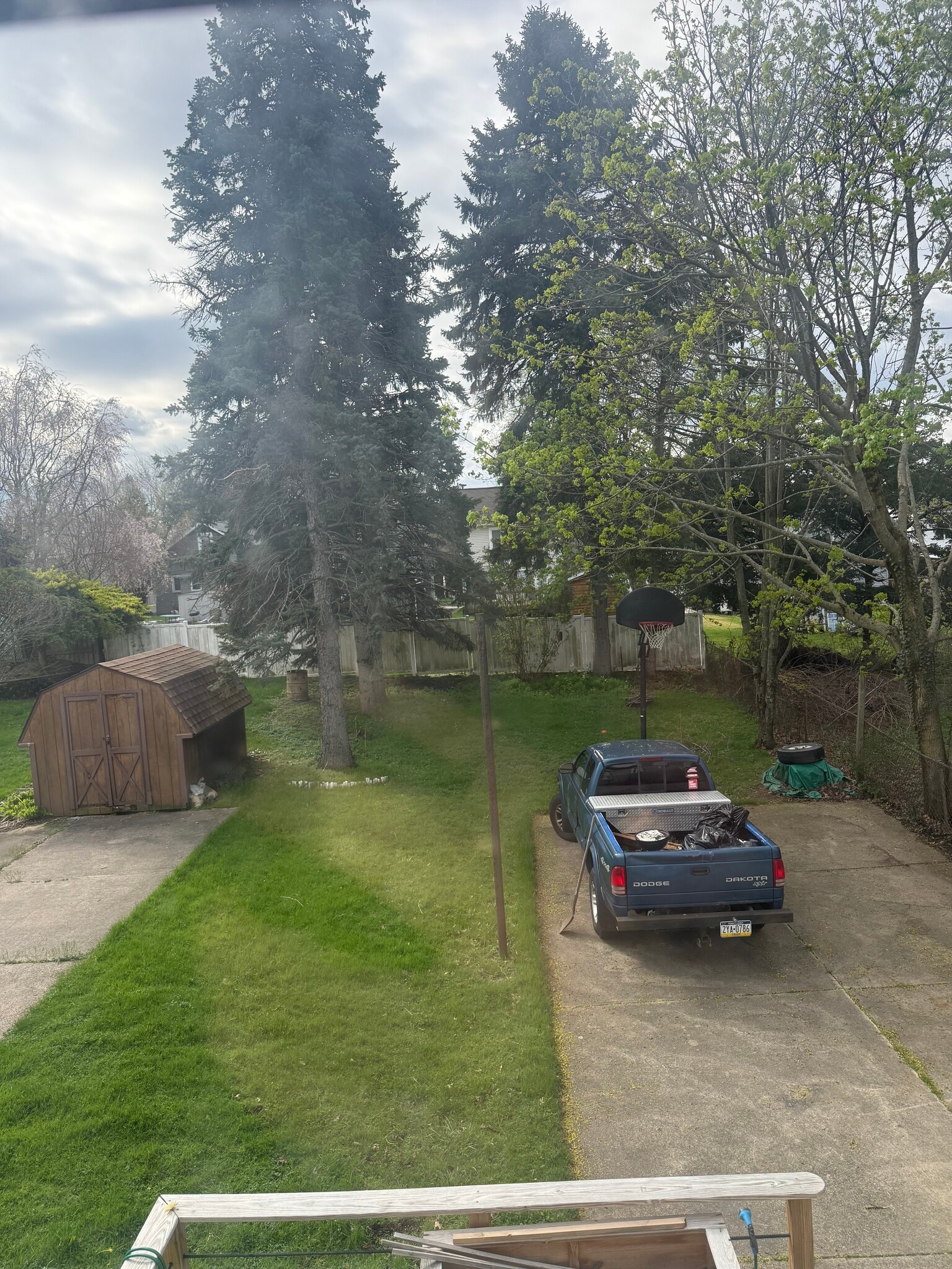 Back yard/ shared driveway - 225 E 31st St