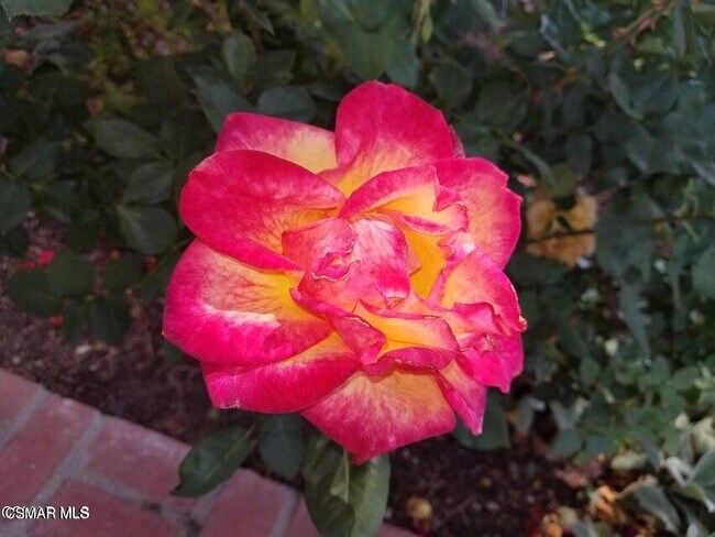 Building Photo - 3287 W Sierra Dr