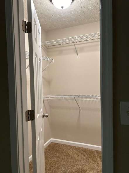 Walk-in closet - 2916 Vining Ridge Ter