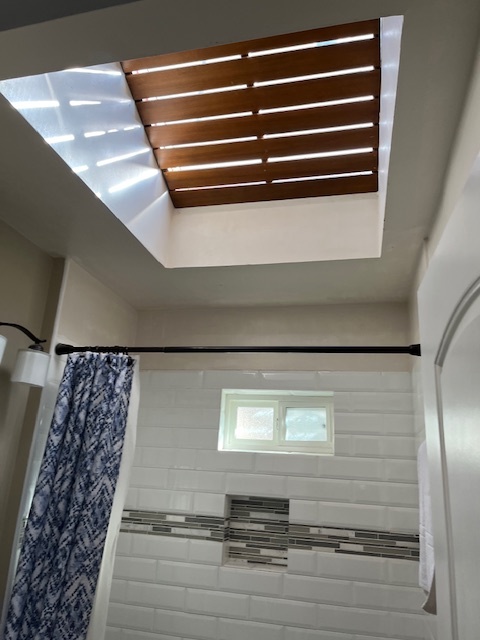 skylight in bathroom - 625 W Maple St