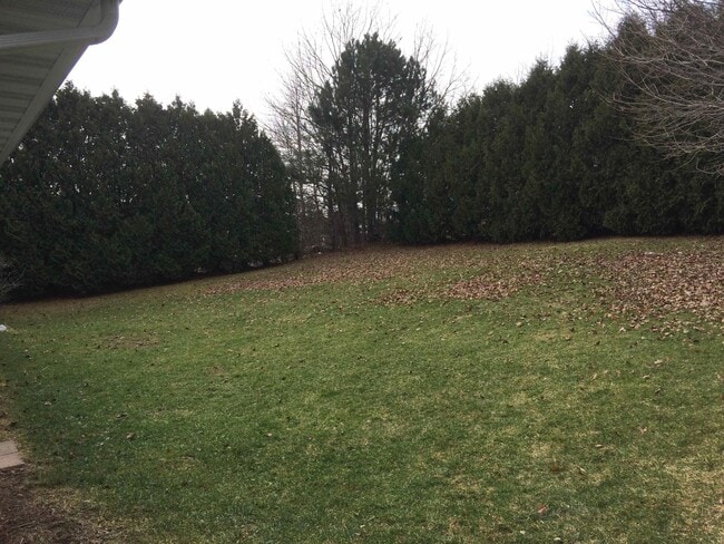 Building Photo - 985 Lum Ave