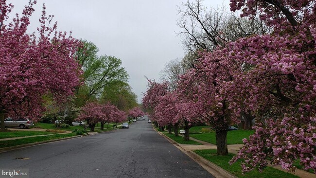 Building Photo - 2529 W Meredith Dr