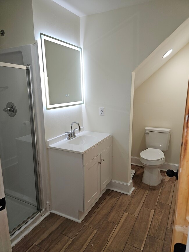 Downstairs bathroom - 389 Mingo St