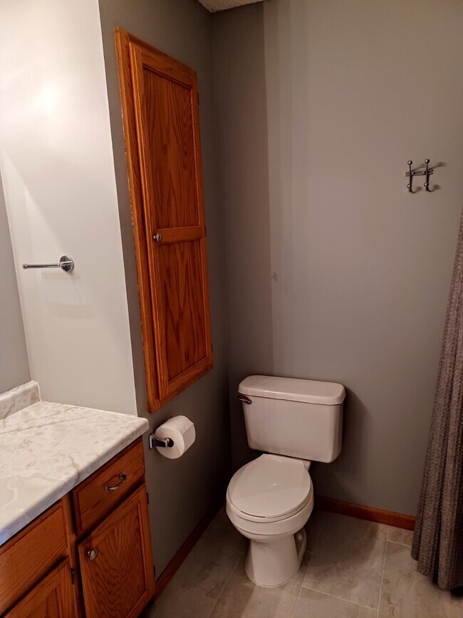 Building Photo - 2 Bedroom 2 Bath End Unit Townhouse - Shakopee