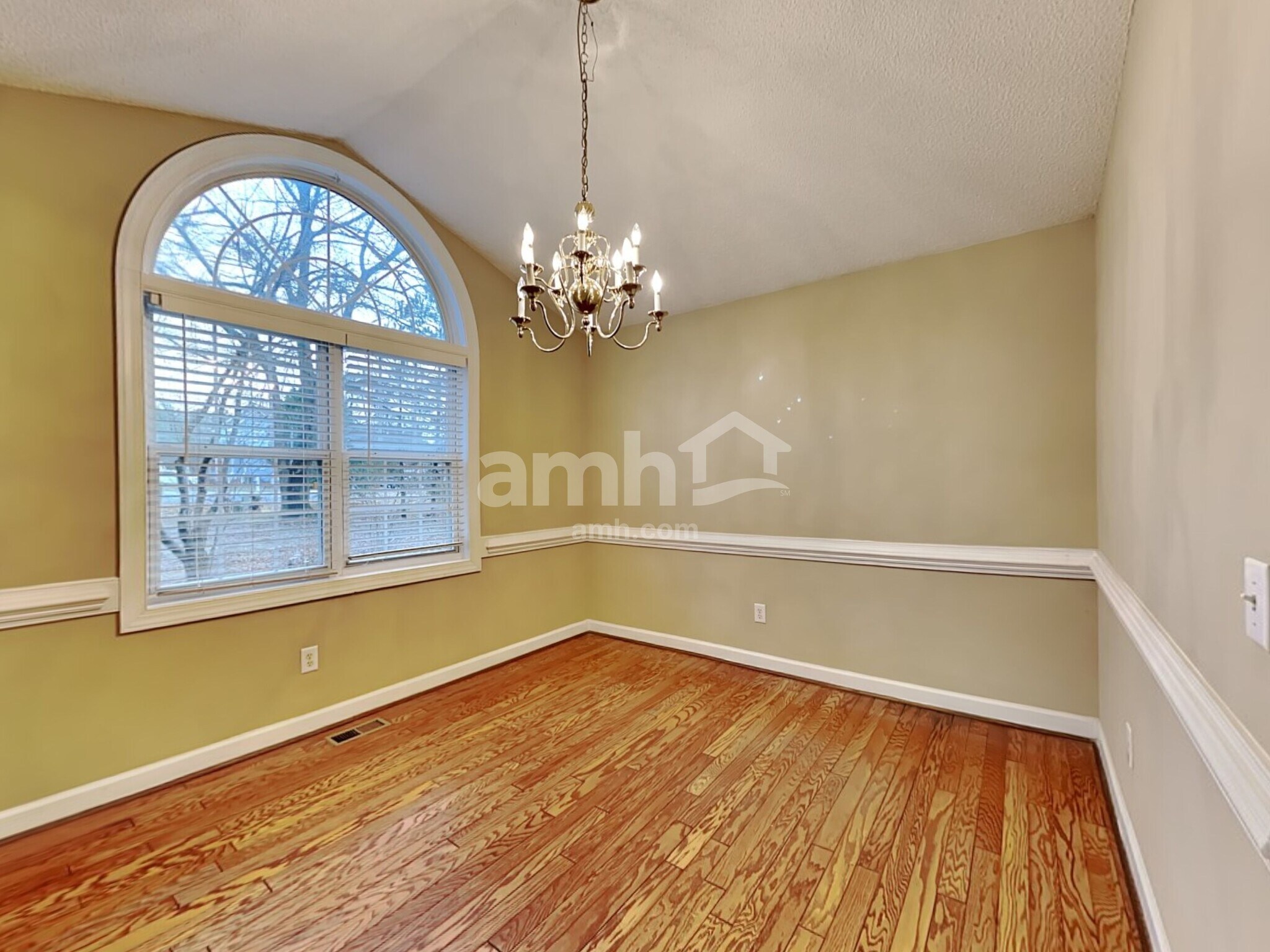 Building Photo - 1206 Saura Ct