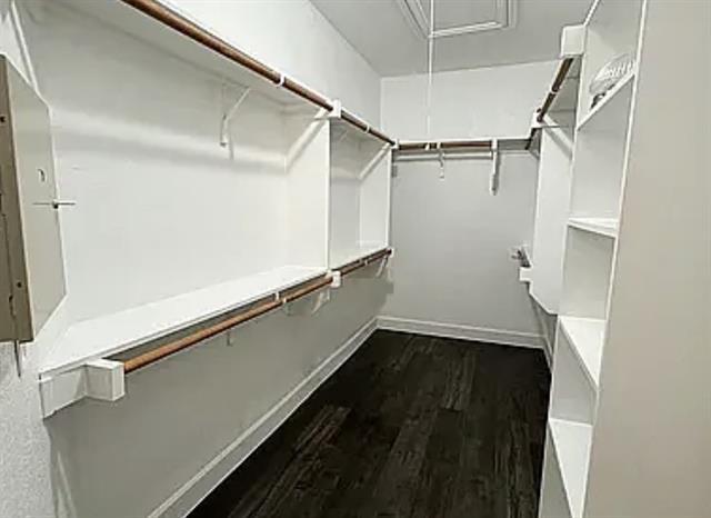Building Photo - 6712 Pistoia Dr