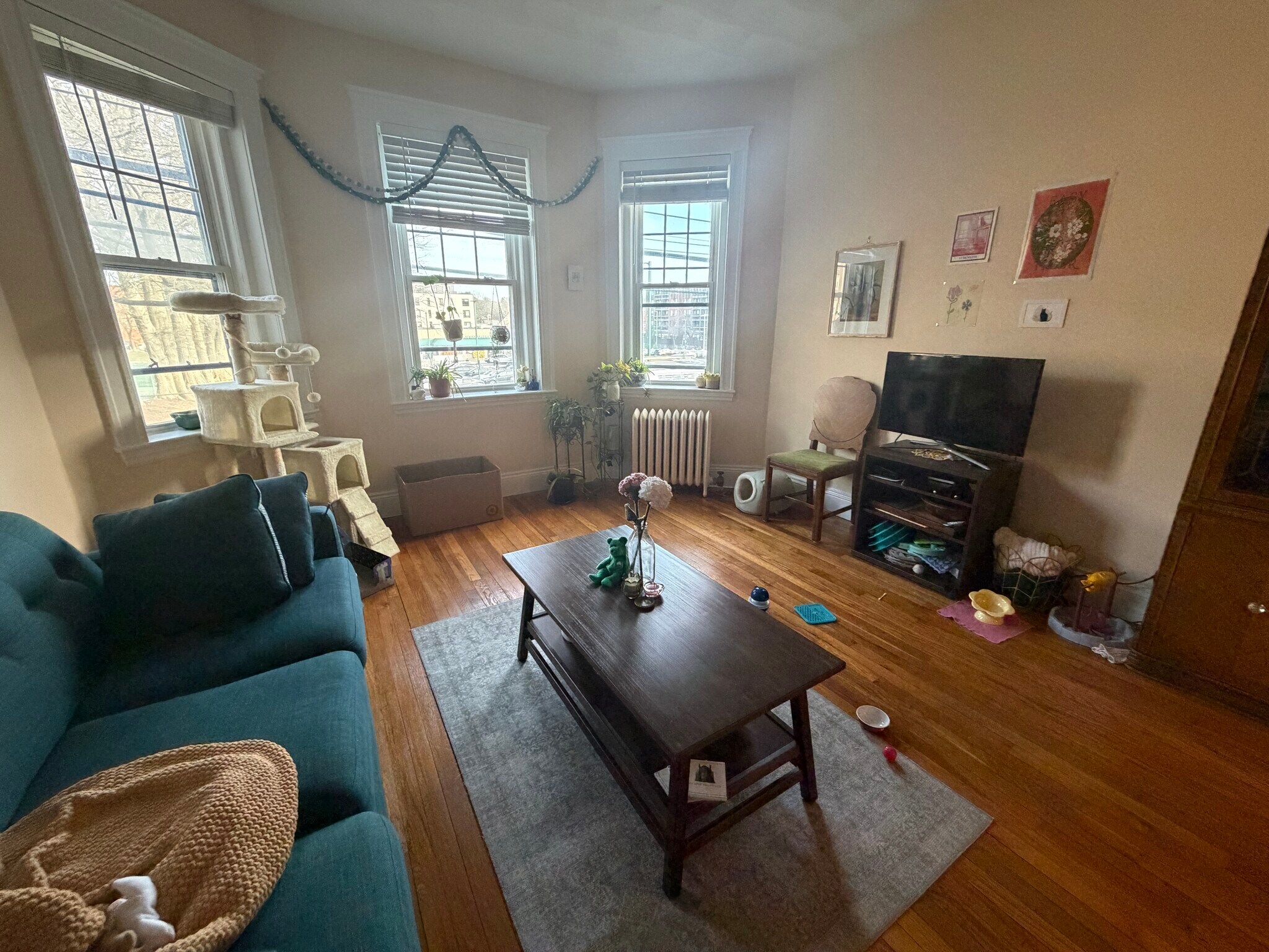 Building Photo - 313 Allston St