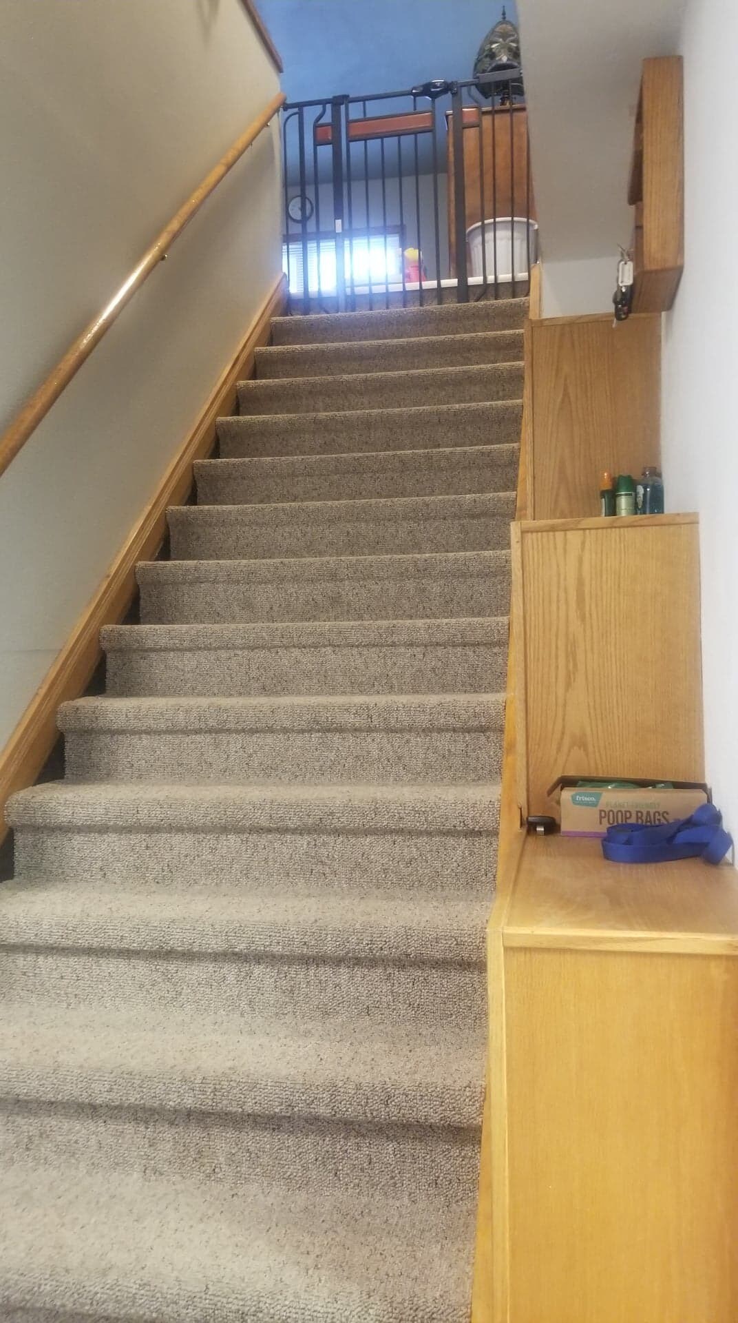 Building Photo - 1040 Cedar St