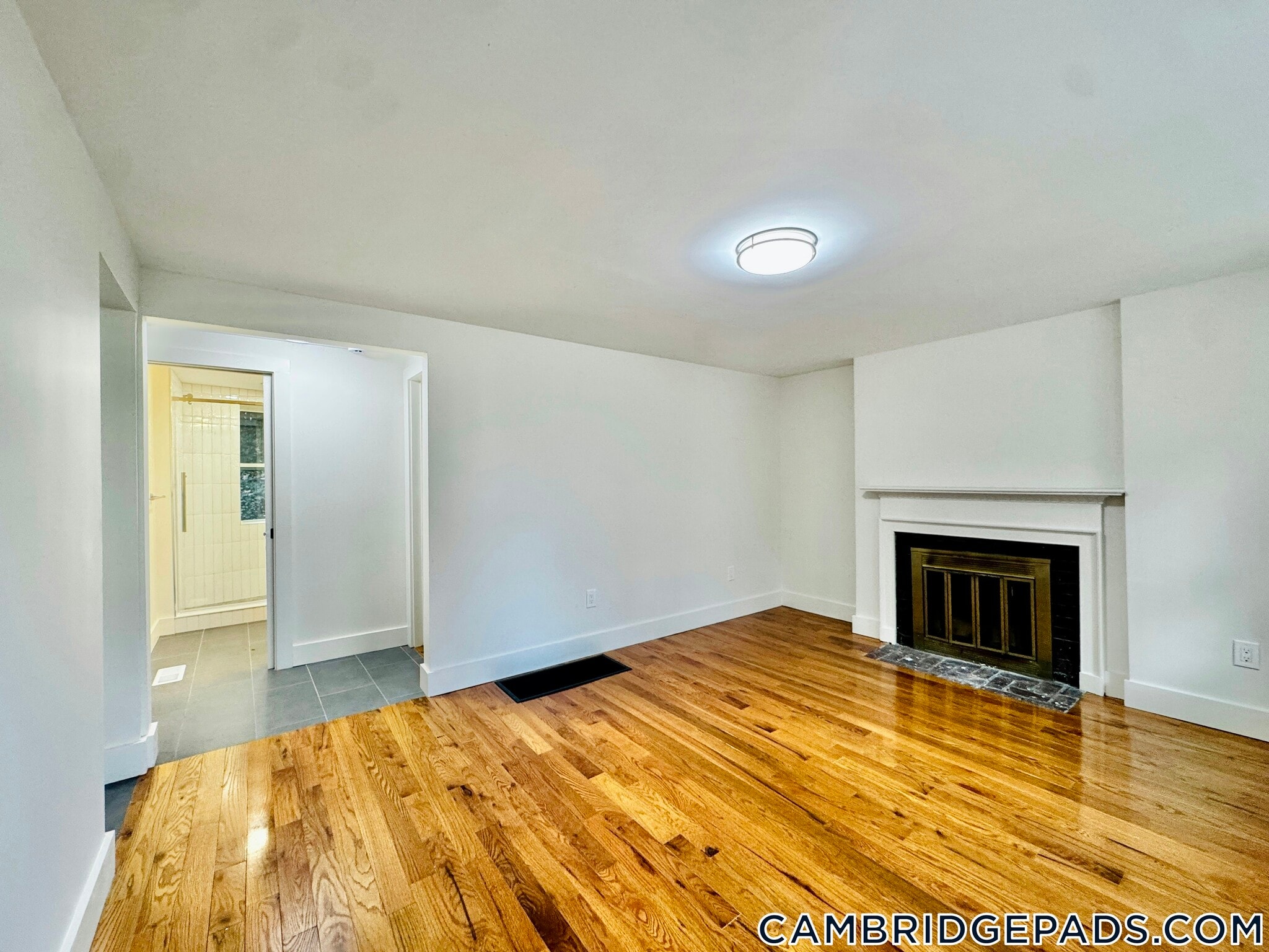 Building Photo - 38 Gibson St