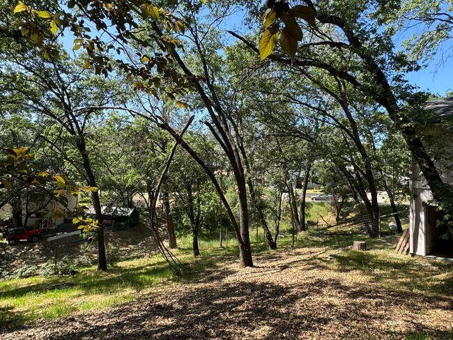 Building Photo - 3 Bedroom 2 Bath Home with Bonus Room larg...