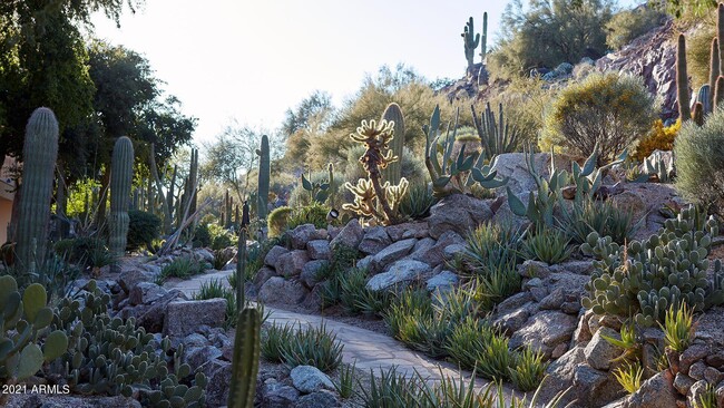 Building Photo - 6302 E Camelback Rd