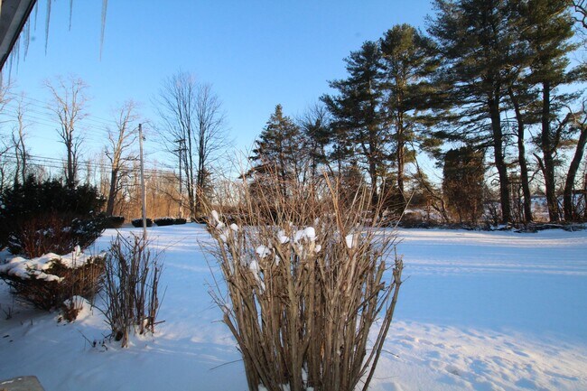 Building Photo - Beautifully remodeled and completed efficiency studio. FREE MONTH OF RENT!*