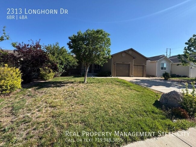 Primary Photo - 2313 Longhorn Dr
