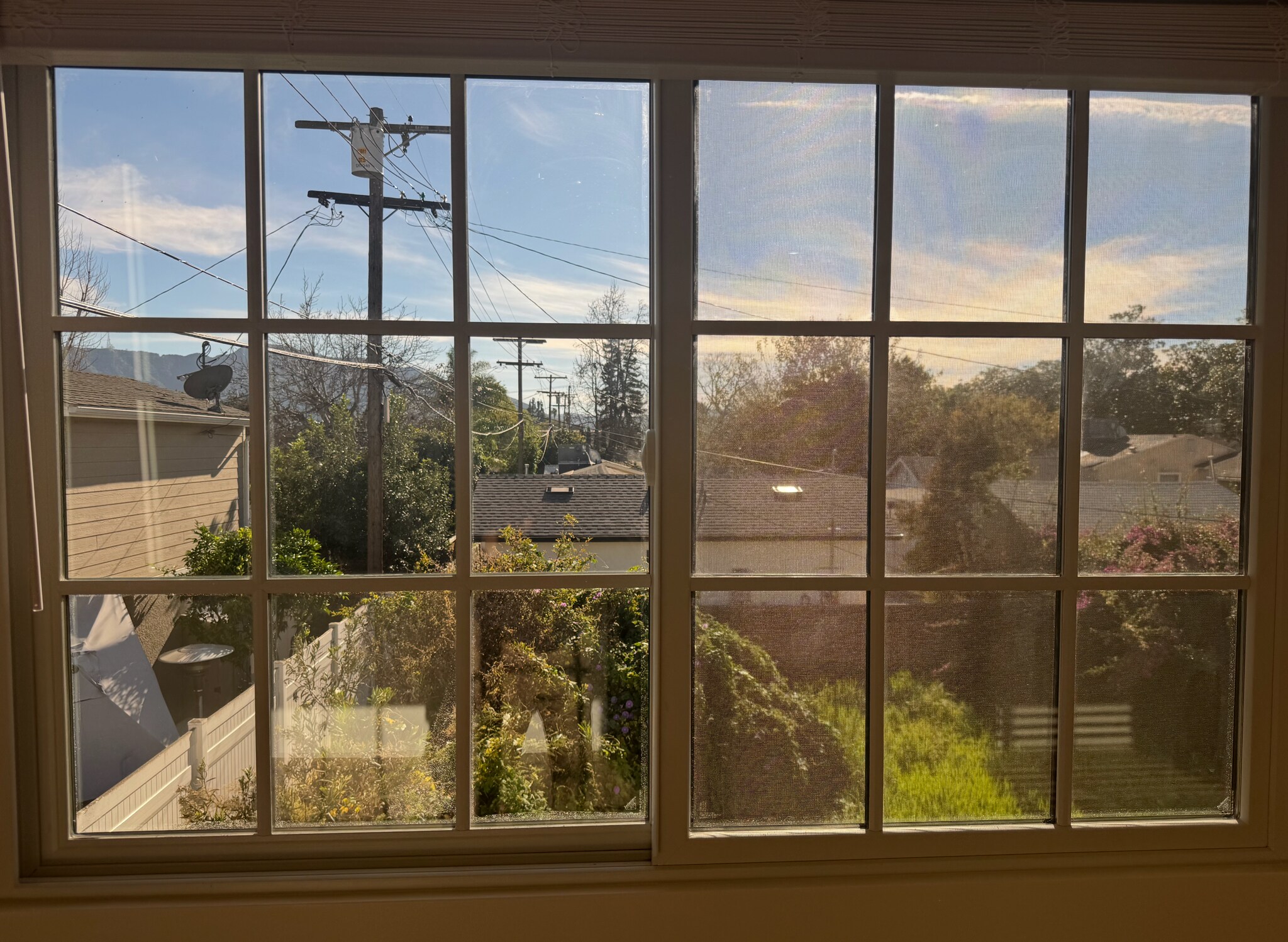 Windows on Two Sides - 230 W Cedar Ave