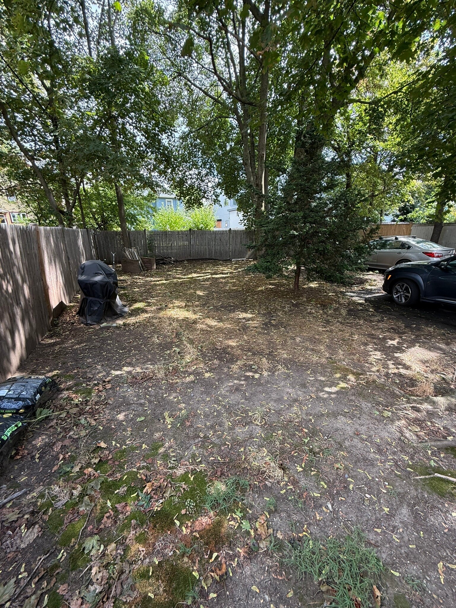Backyard - 85 Clifton St