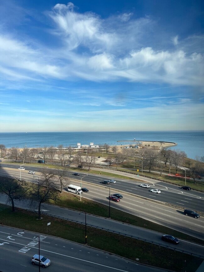 Building Photo - 1550 N Lake Shore Dr