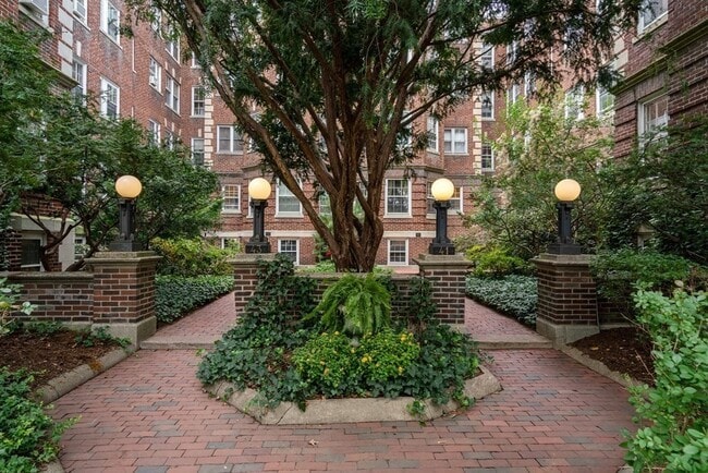 Primary Photo - 43 Linnaean St