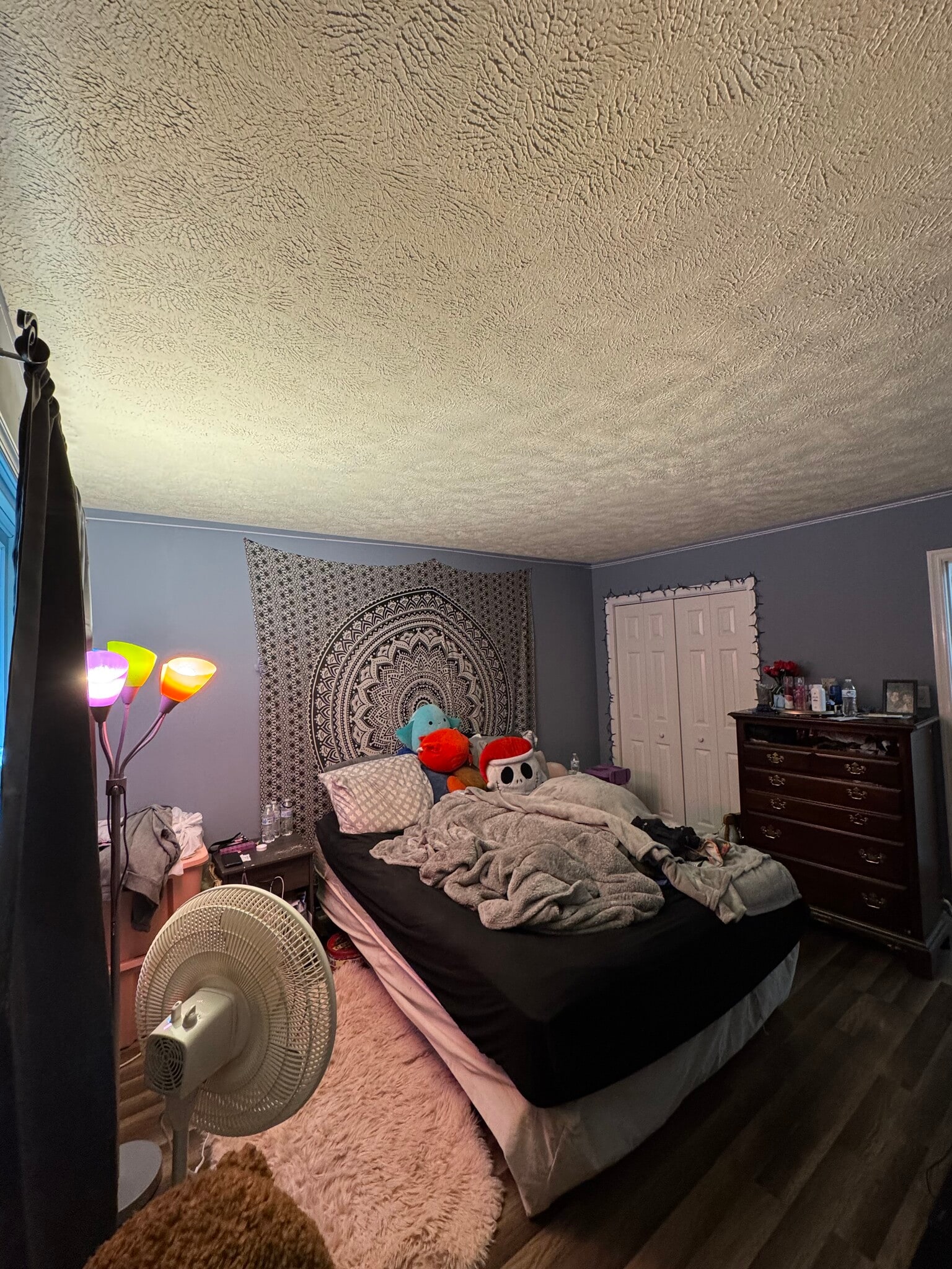 Building Photo - 1568 Harrier Ln