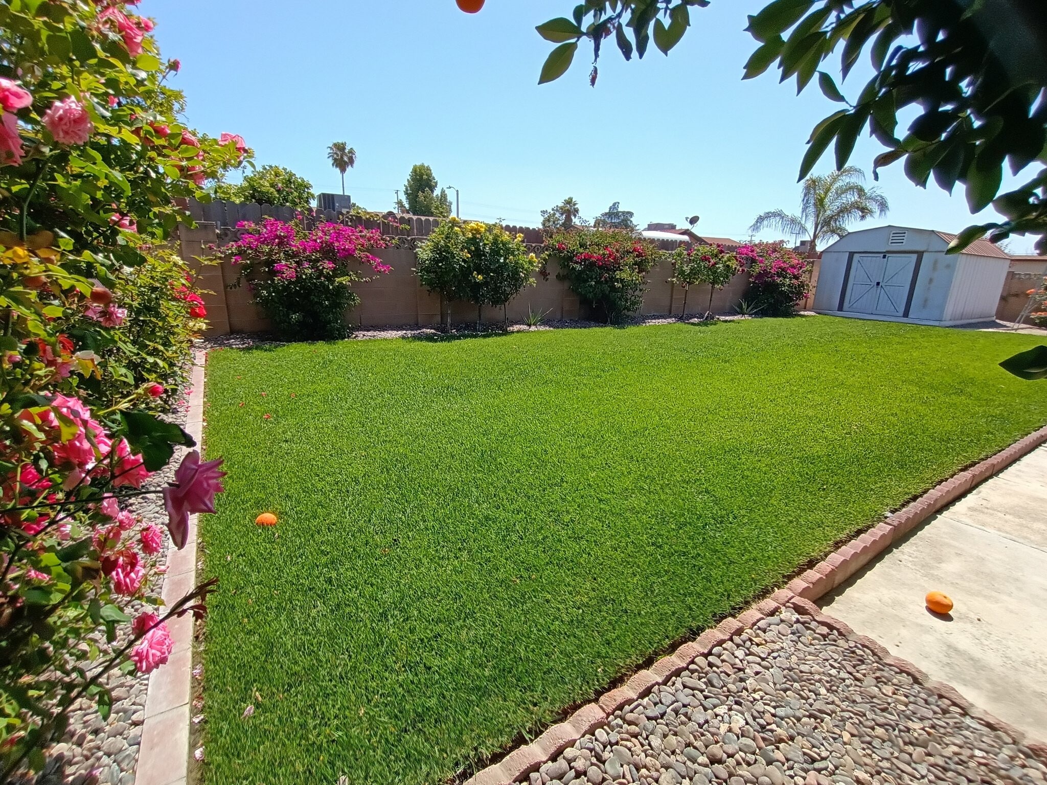 Building Photo - 41315 Sequoia Ln