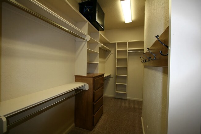 Building Photo - 1502 Scenic Ridge