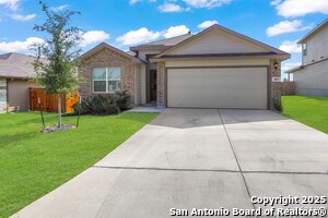 Primary Photo - 183 Ringed Plover