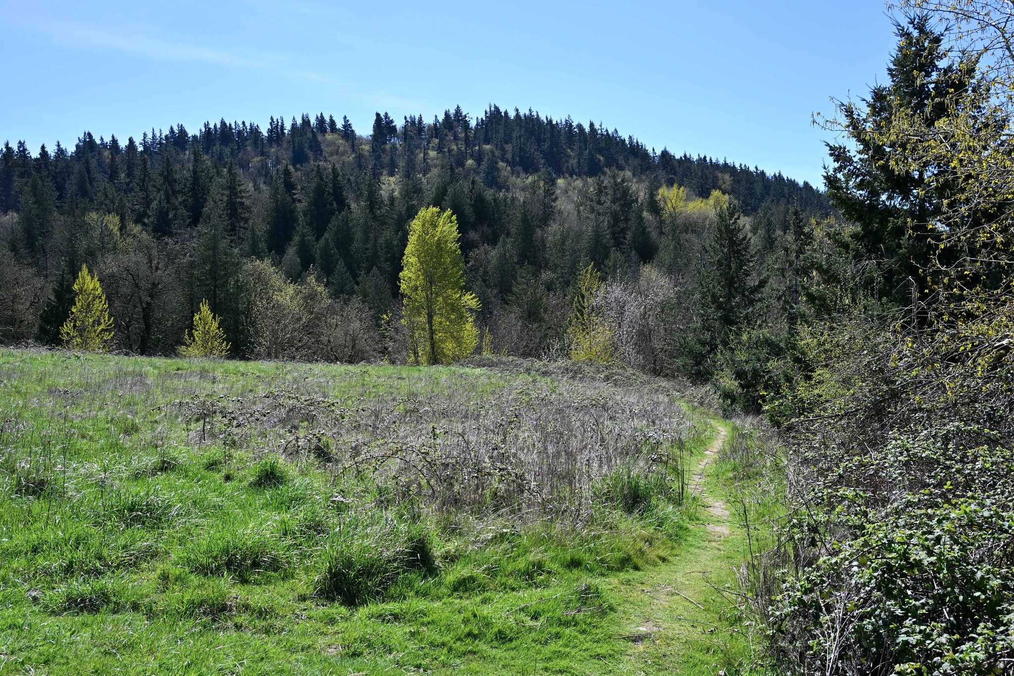 Building Photo - 12458 SE 110th Ct