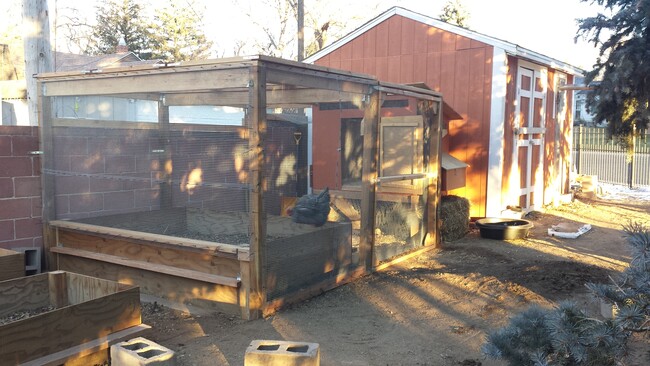 Chicken coop & aviary - 901 Country Club Ave