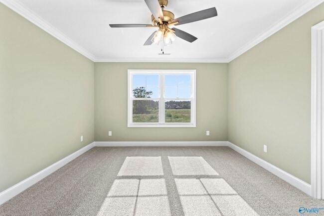 Building Photo - 243 Susan Lynn Dr