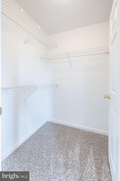Building Photo - 1605 Potomac Greens Dr