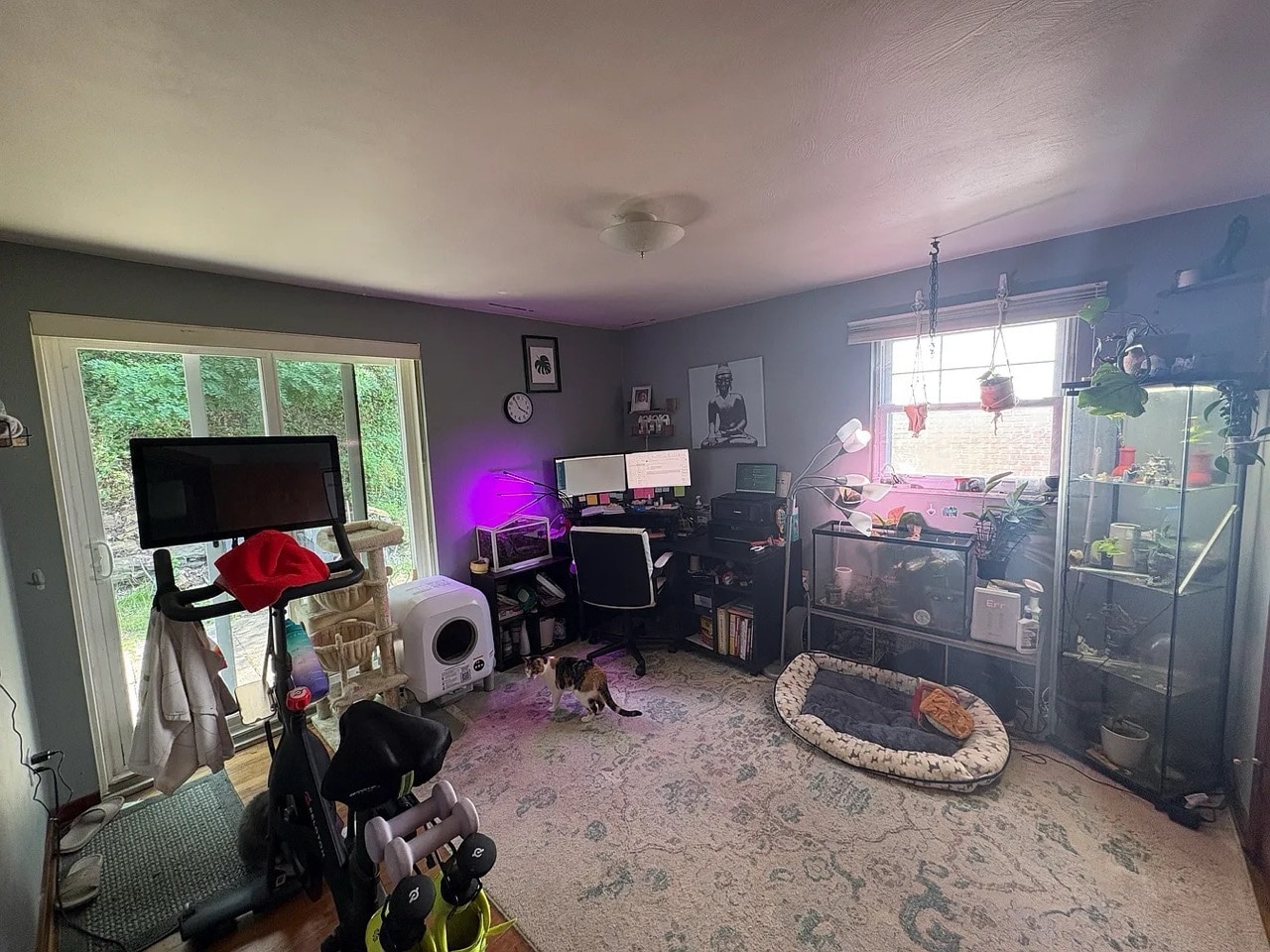 Building Photo - 645 Grandview Ave