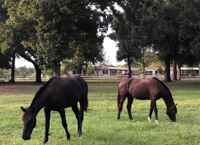 Building Photo - 26427 Dobbin-Huffsmith Rd