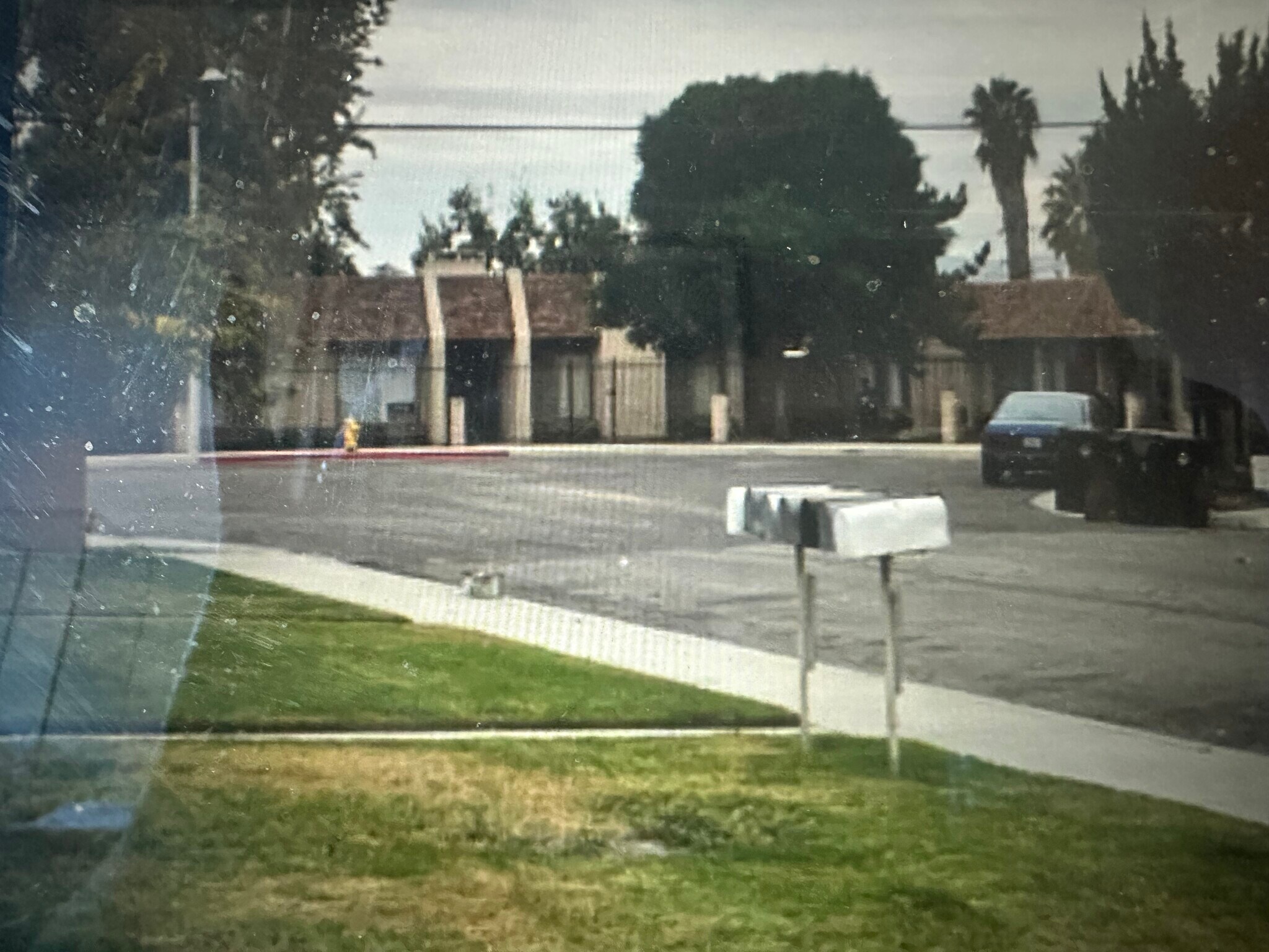 Building Photo - 1145 Olive Tree Ln