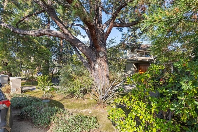 Building Photo - 7BR / 6BA Los Altos Home with Elevator, 3-Car Garage & EV Charging