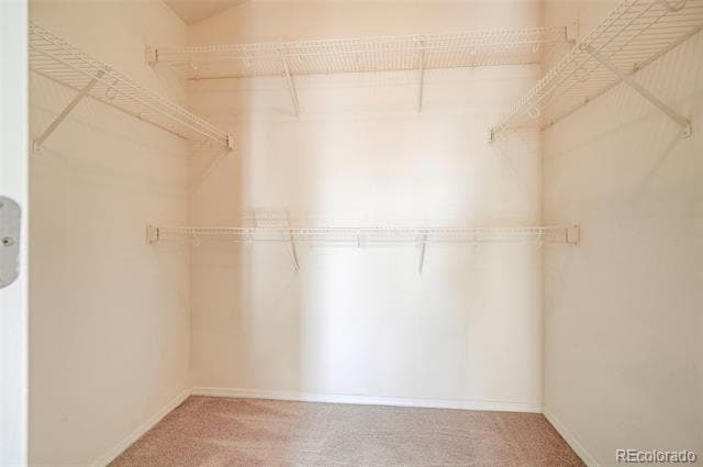 Building Photo - 835 Ridgebury Pl