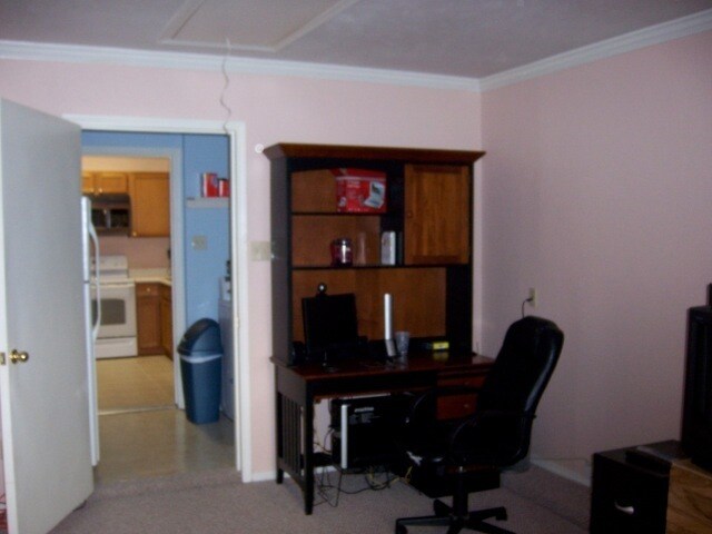 Building Photo - 243 Reeder Dr