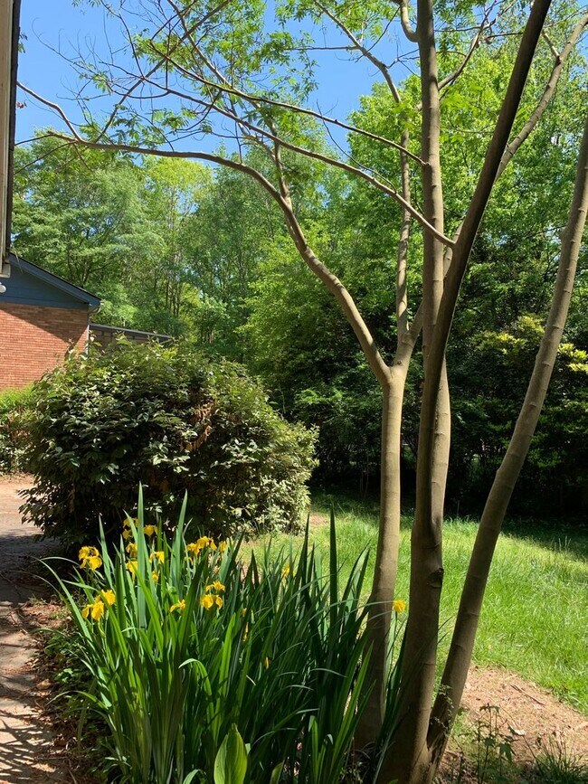 Building Photo - 4 BR 3 BATH in Cedar Creek!