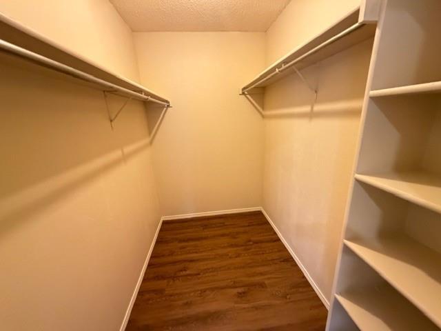 Building Photo - 5305 Manhassett Dr