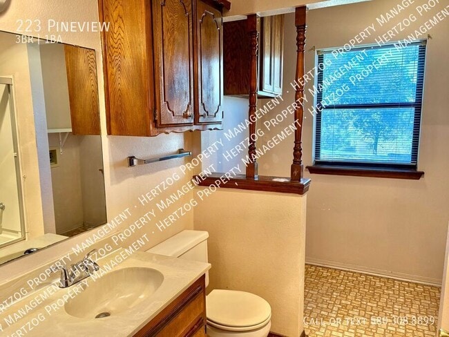 Building Photo - 223 Pineview-