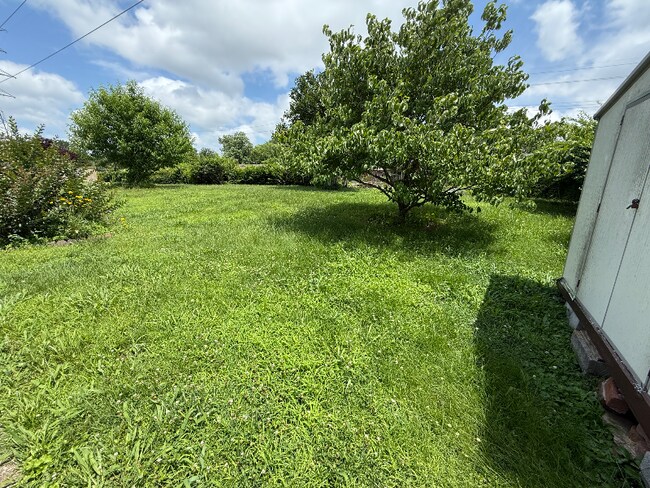 Building Photo - 490 Sunliner Dr