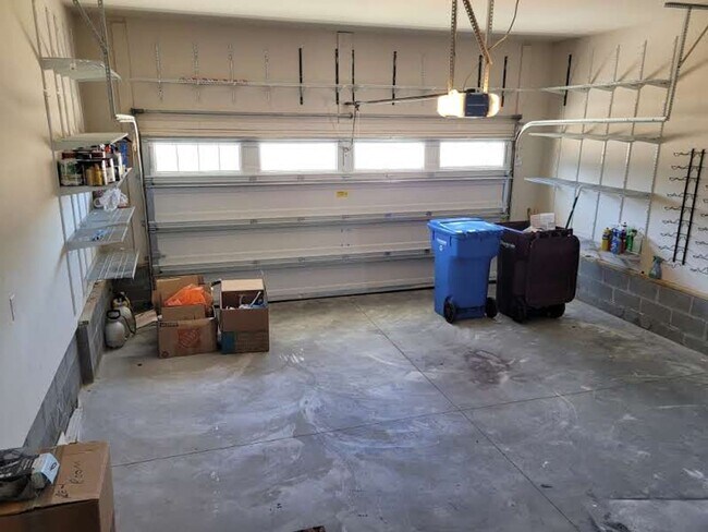 Building Photo - 509 Ackerman Ln