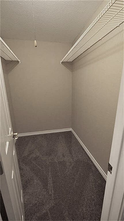 Building Photo - 310 Gentilly Dr