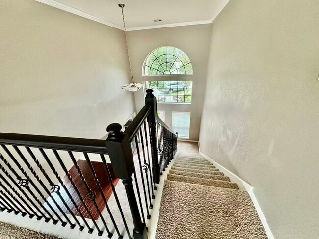 Building Photo - 12106 Coldwater Cove Ln