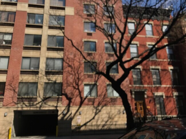 Neighboring Buildings - 345 E 119th St
